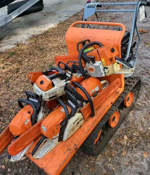 Crane-assisted tree removal in Pinellas County FL
