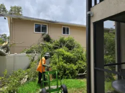 Stump grinding service completed in Pinellas County FL